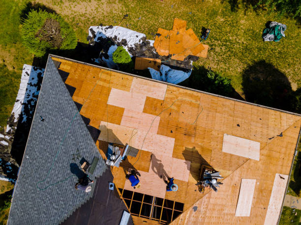 Best Local Roofing Companies  in Sunray, TX