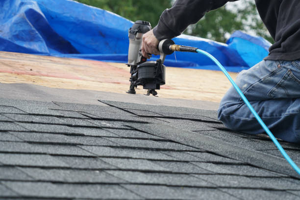 Best Local Roofing Companies  in Sunray, TX