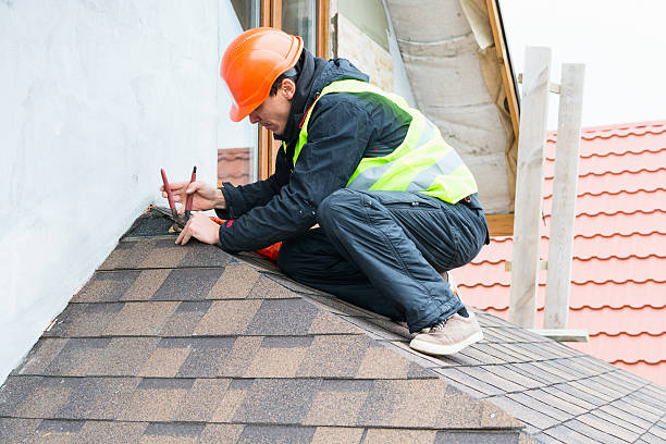 Best Roof Gutter Cleaning  in Sunray, TX