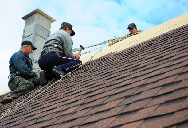 Best Best Roofing Contractors  in Sunray, TX