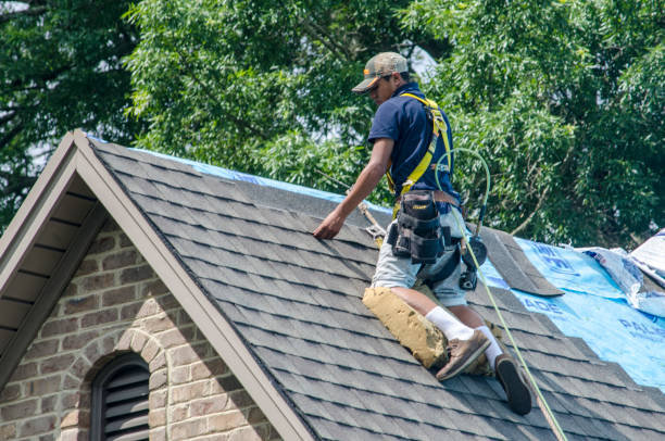 Roof Gutter Cleaning in Sunray, TX